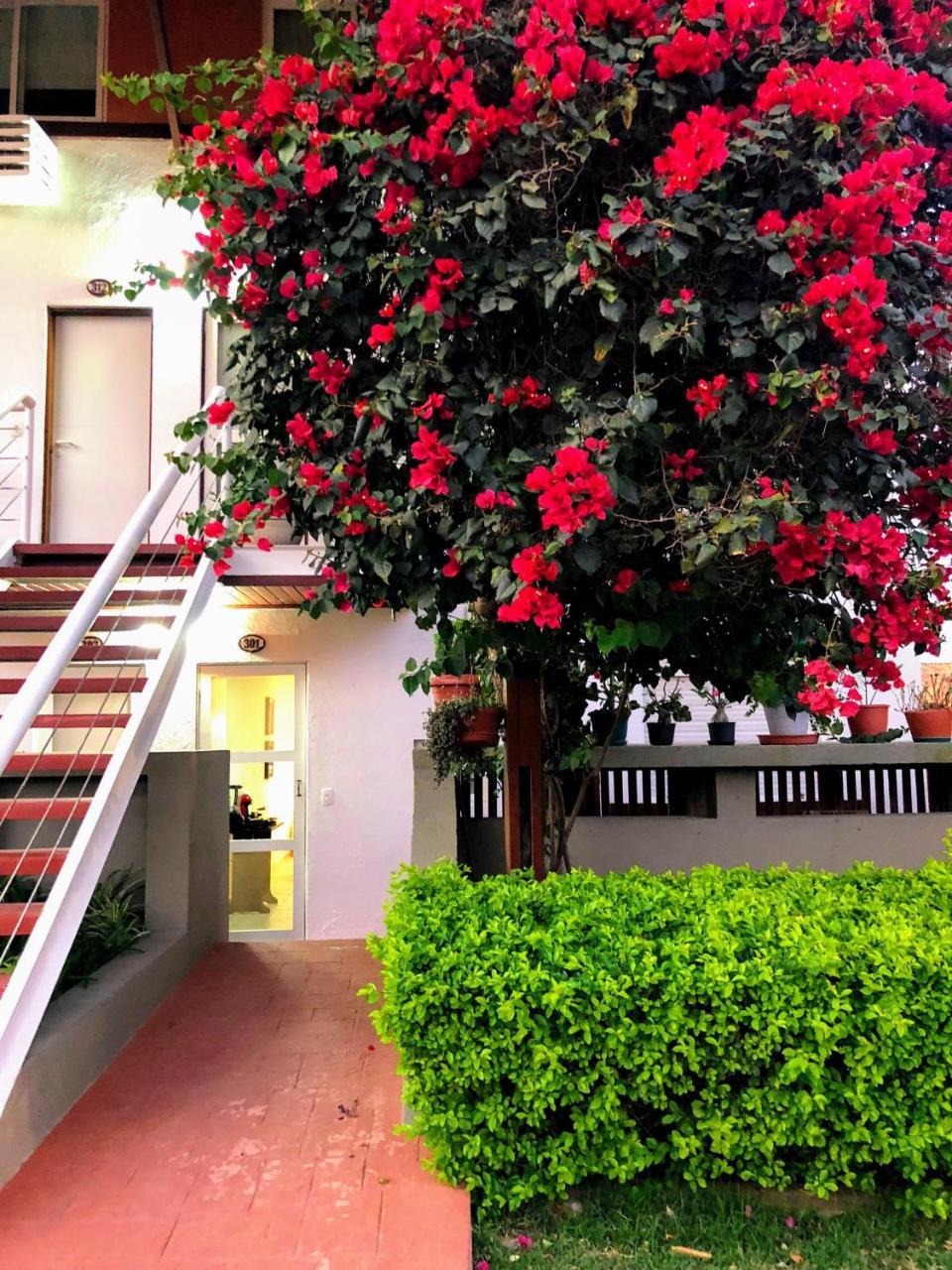 Flat 301 Condominio Villa Hipica - Gravata, Pe Εξωτερικό φωτογραφία